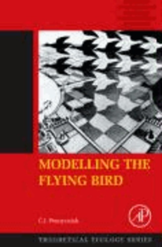Modelling the Flying Bird.