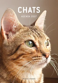 Chats