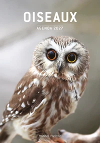 Oiseaux