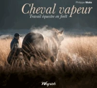 Cheval vapeur