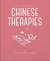 The Little Book of Chinese Therapies