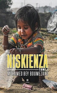 Niskienza