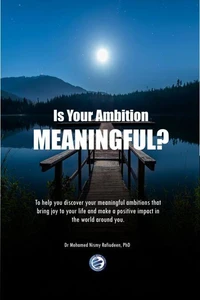 Is Your Ambition Meaningfu?
