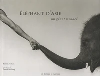 Eléphant d'Asie