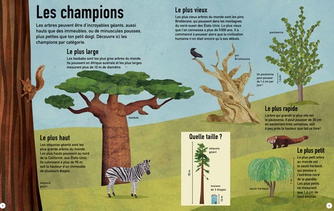 La terre en vert. La vie dans nos bois et nos forêts