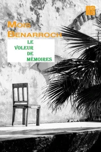 LE VOLEUR DE MÉMOIRES