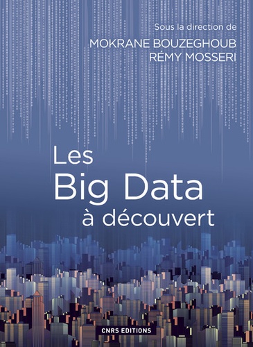 Mokrane Bouzeghoub et Rémy Mosseri - Les Big Data à découvert.