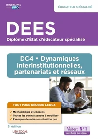 DEES Educateur spécialisé - DC4 Dynamiques interinstitutionnelles, partenariats et réseaux