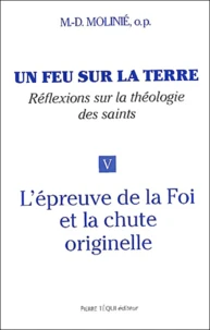 Un feu sur la terre
