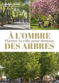 A l'ombre des arbres