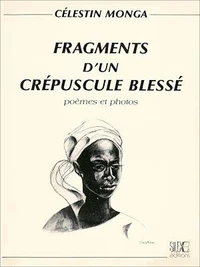 Fragments d'un crépuscule blessé