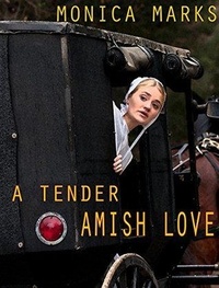  Monica Marks - A Tender Amish Love.