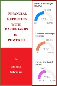  MONICA SCHEIANU - Financial Reporting with Dashboards in Power BI.