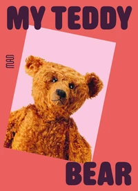 Teddy bear