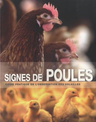 Monique Bestman - Signes de poules - Guide pratique de l'observation des volailles.