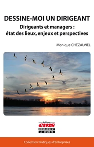 Dessine-moi un dirigeant