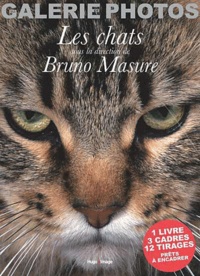 Bruno Masure et Monique Neubourg - Les chats - 1 livre, 3 cadres, 12 tirages prêts à encadrer.