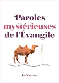 Monique Piettre - Paroles mystérieuses de l'Evangile.