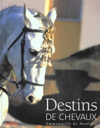 Destins De Chevaux