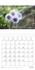 CALVENDO Nature  Fleurs sauvages méditerranéennes (Calendrier mural 2020 300 × 300 mm Square). Un calendrier avec une fleur sauvage pour chaque mois de l'année. (Calendrier mensuel, 14 Pages )