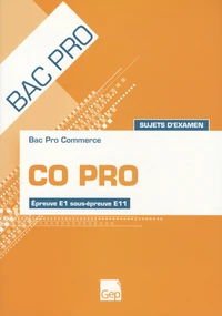 CO PRO Bac pro commerce