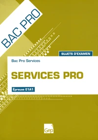 Services pro Bac pro services