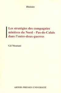 Les stratégies des compagnies minières du Nord-Pas-de-Calais dans l'entre-deux-guerres