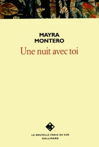 Une nuit avec toi
