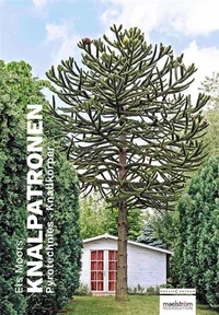Knalpatronen