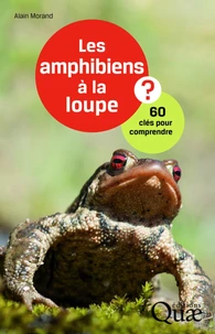 Les amphibiens à la loupe