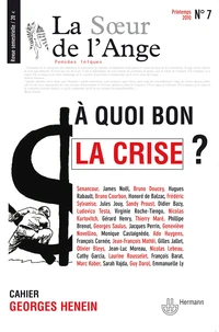 A quoi bon la crise ?
