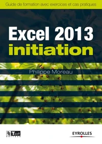Excel 2013 initiation
