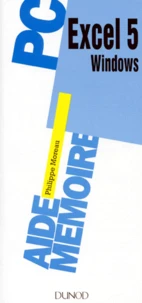 Excel 5 Windows