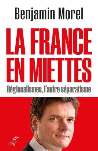 LA FRANCE EN MIETTES - REGIONALISMES, L'AUTRE SEPARATISME
