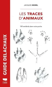 Les traces d'animaux
