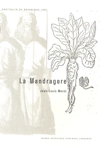 La Mandragore