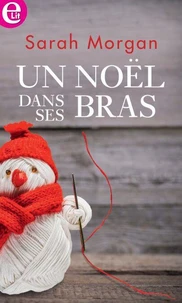 Un Noël dans ses bras