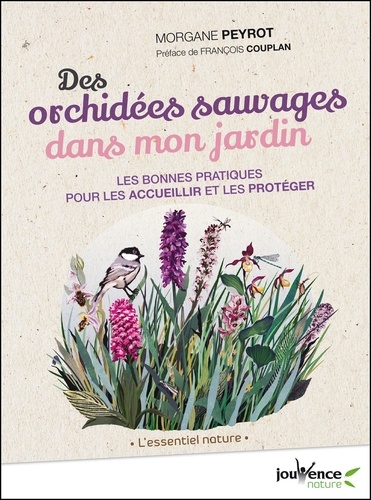 Des orchidées sauvages dans mon jardin. Les bonnes pratiques pour les accueillir et les protéger