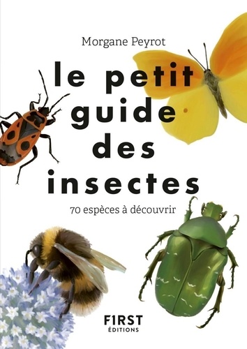 Morgane Peyrot - Le petit guide des insectes - 70 espèces à découvrir.
