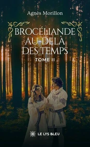 Brocéliande au-delà des temps - Tome 2