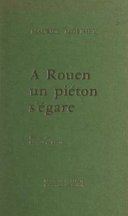 À Rouen, un piéton s'égare