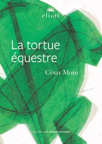 La tortue équestre