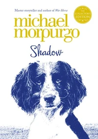 Shadow