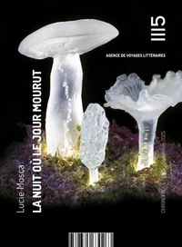 La nuit où le jour mourut