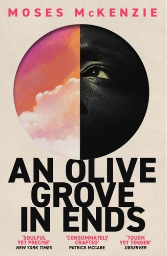 An Olive Grove in Ends. The dazzling debut novel about love, faith and community, by an electrifying new voice