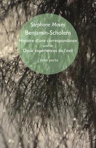 Benjamin-Scholem, histoire d'une correspondance