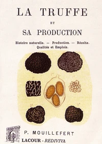 La truffe et sa production