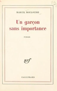 Un garçon sans importance