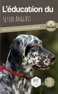 L'éducation du Setter Anglais