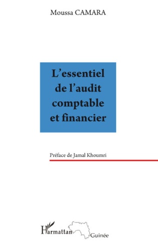 L'essentiel de l'audit comptable et financier  Edition 2008